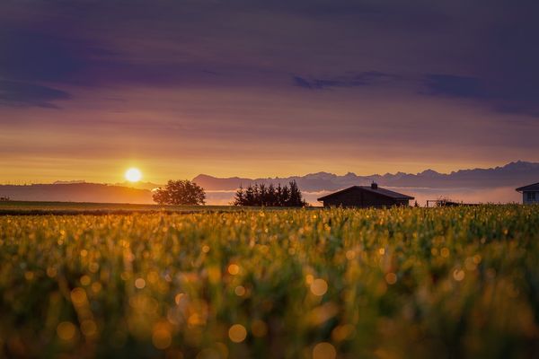 Wyróżnij swoją nieruchomość - oryginalne wykorzystanie szkła i luster